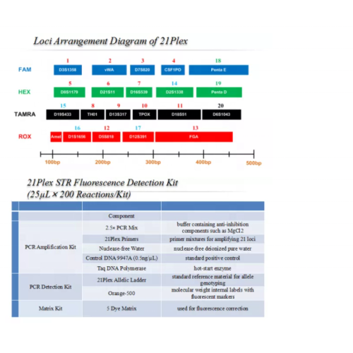 Yesu y41se fluorescent at detection at detection